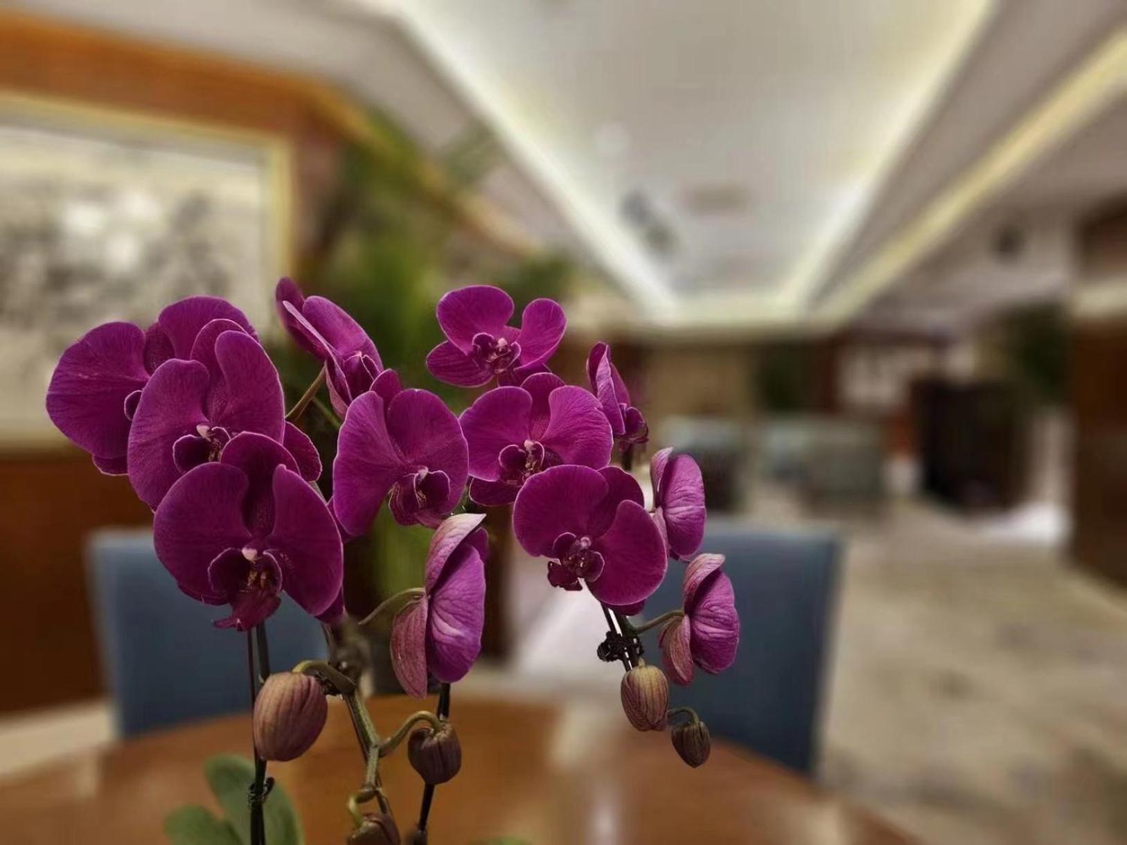 Regent Beijing Hotel Eksteriør billede